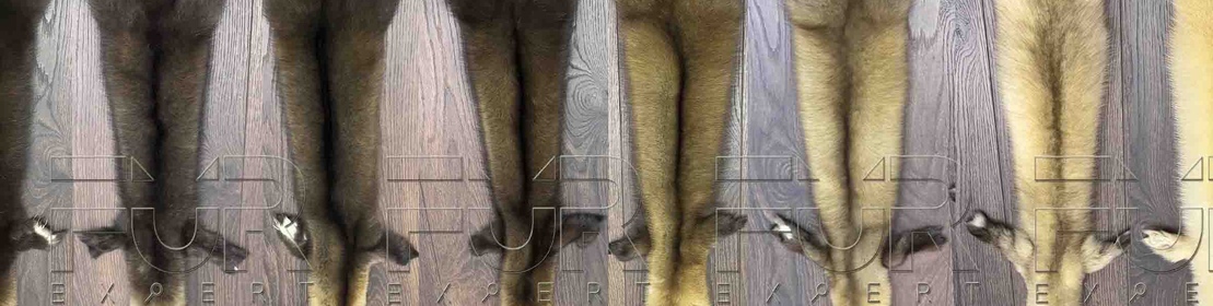 Виды кряжей соболя. Блог FUR EXPERT